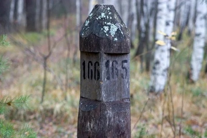 Nuotraukoje matomas stulpelis su miško kvartalo numeriu