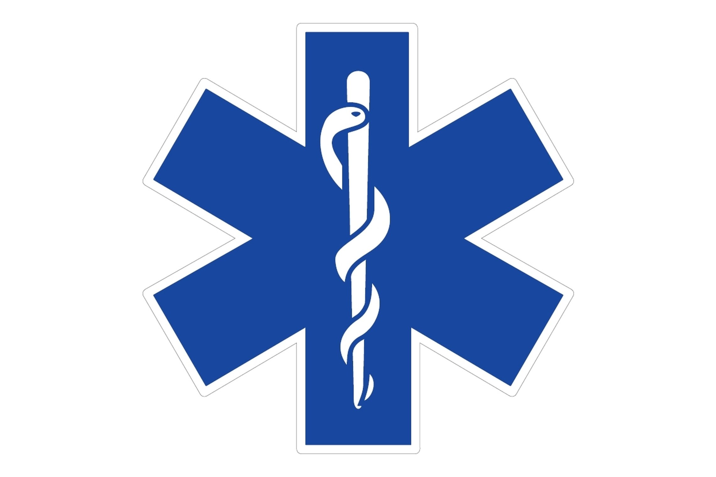 Greitosios medicinos pagalbos logotipas