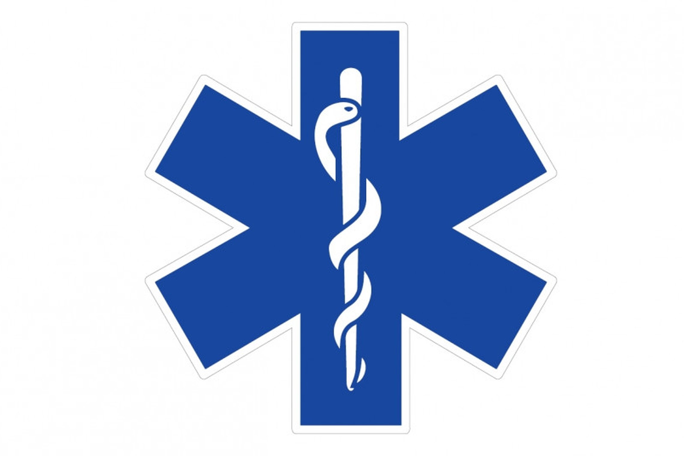 Greitosios medicinos pagalbos logotipas
