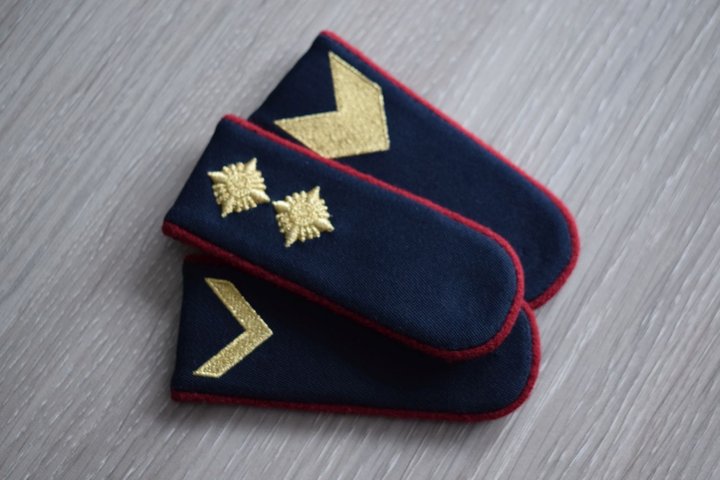 Nuotraukoje matomi antpečiai